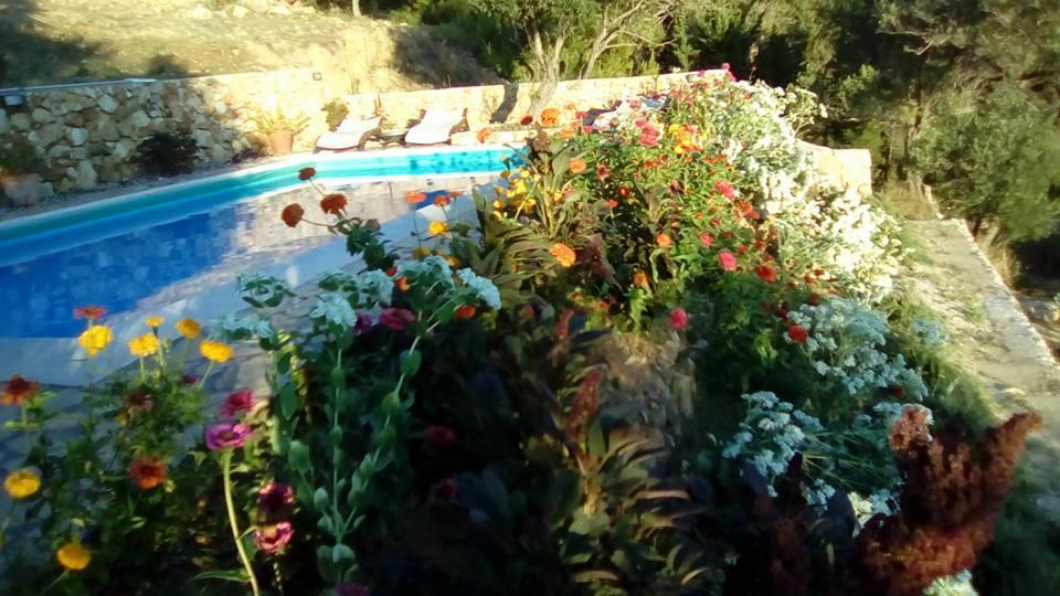 Villa Mora Banjol المظهر الخارجي الصورة